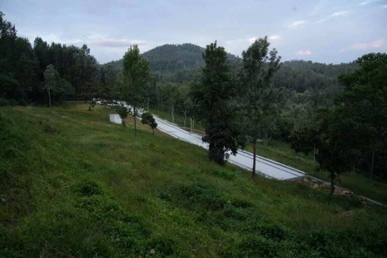 IMG-20240923-WA0007